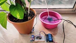 Automatic plant waterer project